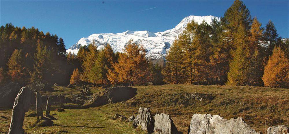 Cgh Residences & Spas Le Ruitor Sainte-Foy-Tarentaise Εξωτερικό φωτογραφία